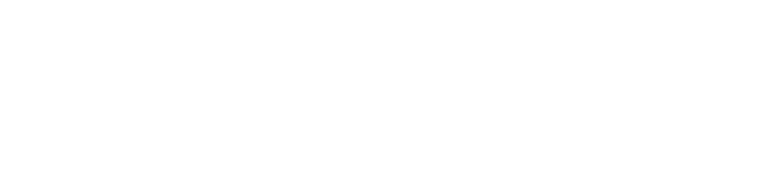 IMEISLOT